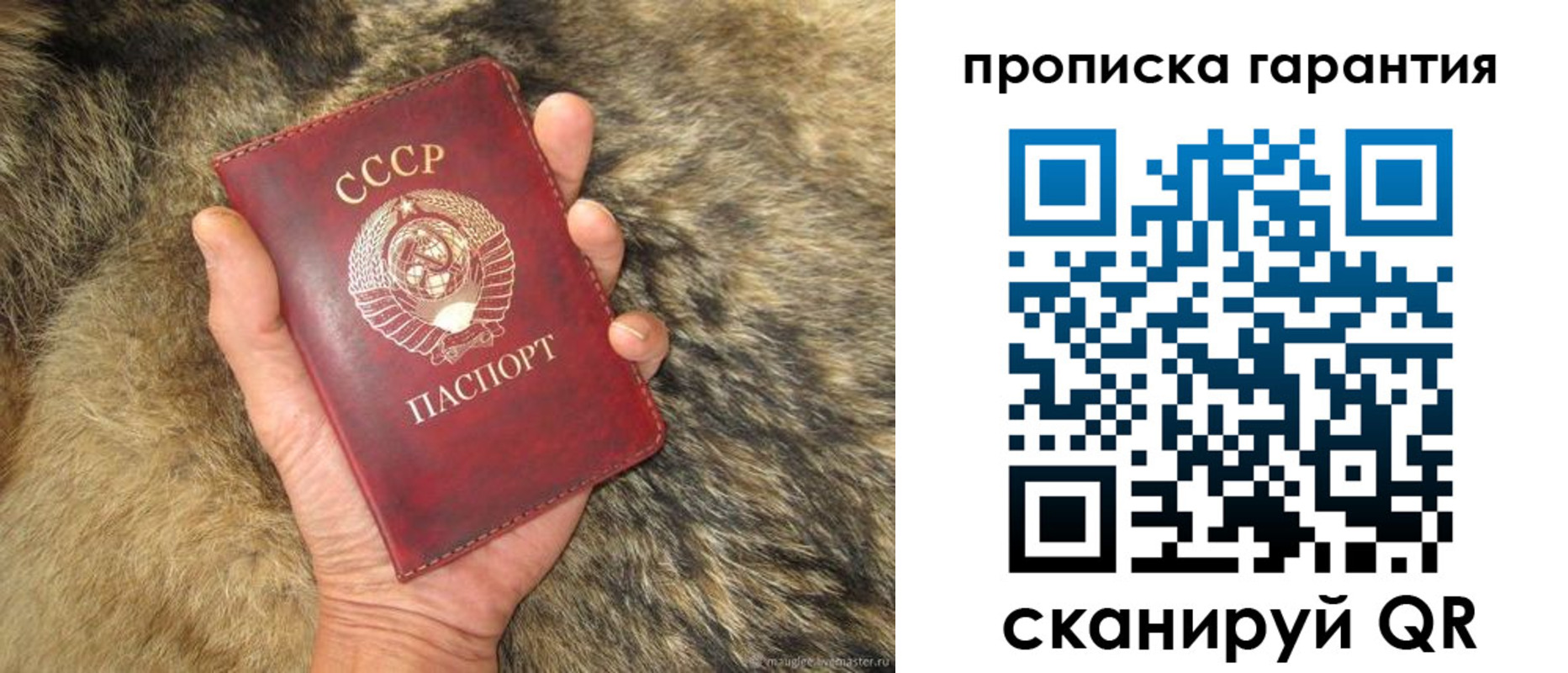 прописка паспорт в Смоленской области